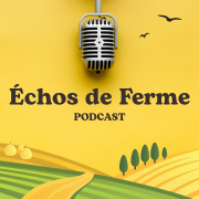 Création de contenu vidéo et communication digitale