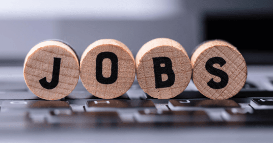 Webinaire - Trouver un job d'été