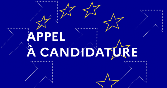 Devenez stagiaire d'un assistant parlementaire allemand ! (échange franco-allemand 2026-2027)